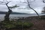original Schottland 2