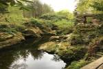 original Irland 5
