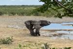 original Namibia10