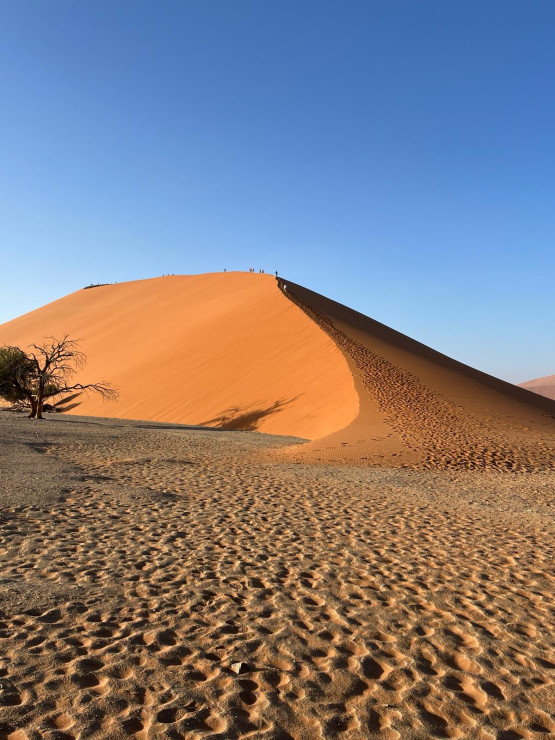 original D ne Namibia