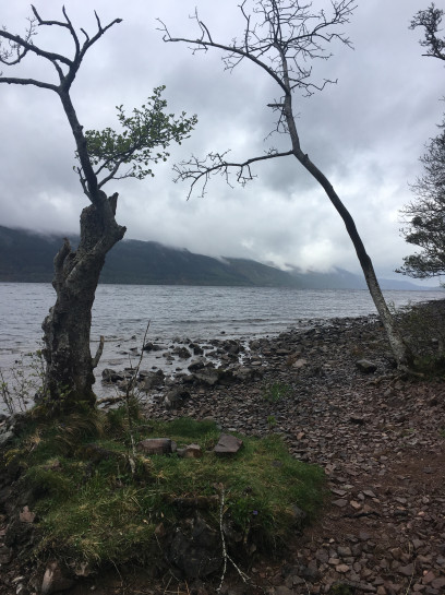 original Schottland 2