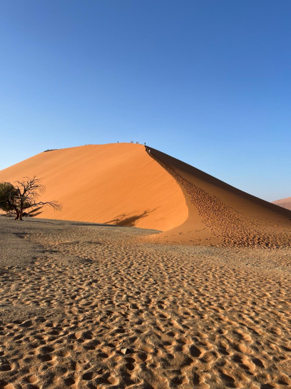original D ne Namibia