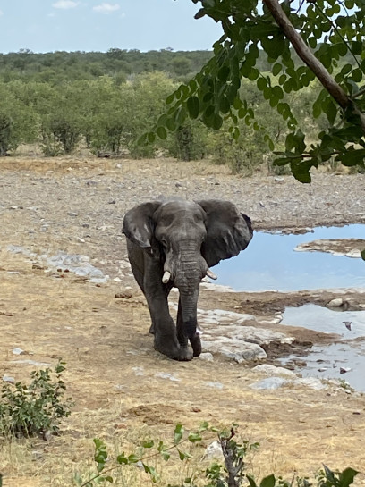 original Namibia10